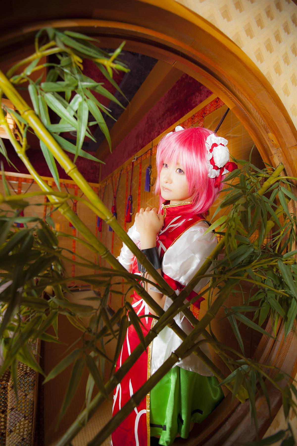 [Cosplay] New Touhou Project Cosplay set - Awesome Kasen Ibara